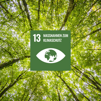 T-Shirt aus Bambus & Baumwolle